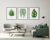 Set of 3 Leaf Prints Green Watercolour Art Prints and Canvasses Palm String of Pearls Monstera