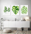 Fern and Monstera Plant Artwork Set of 3 Green Watercolour Botanical Prints and Canvasses