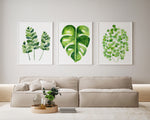 Fern and Monstera Plant Artwork Set of 3 Green Watercolour Botanical Prints and Canvasses