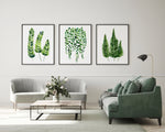 Ferns + String of Pearls Wall Art Decor Green Botanical Prints and Canvasses Watercolour Artwork for Living Room