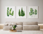 Set of 3 Fern Prints Green Watercolour Plant Art Living Room Wall Decor