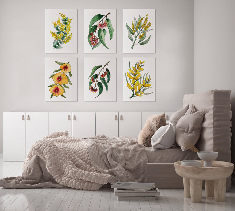 Set of 6 Eucalyptus and Watlle Watercolour Paintings Canvasses and Prints