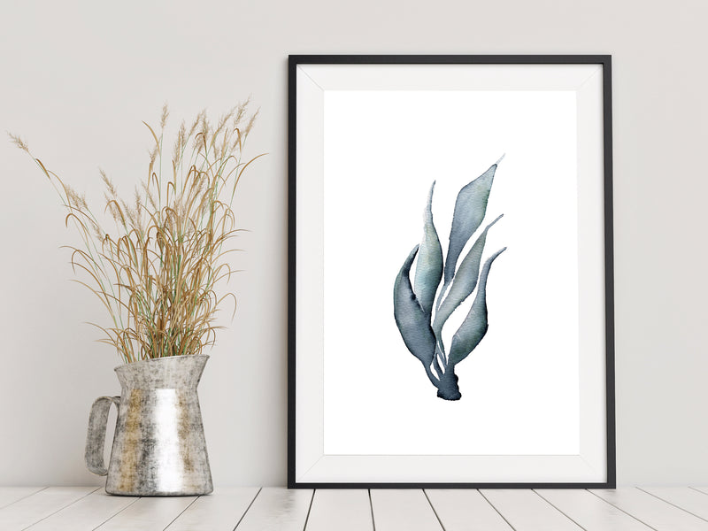 Coral Grey Watercolour Marine Life Prints