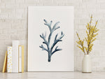 Grey Coral Reef Watercolour Prints