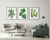 Tropical Plant Print Set of 3 Green Art Decor Botanical Watercolour Leaf Designs