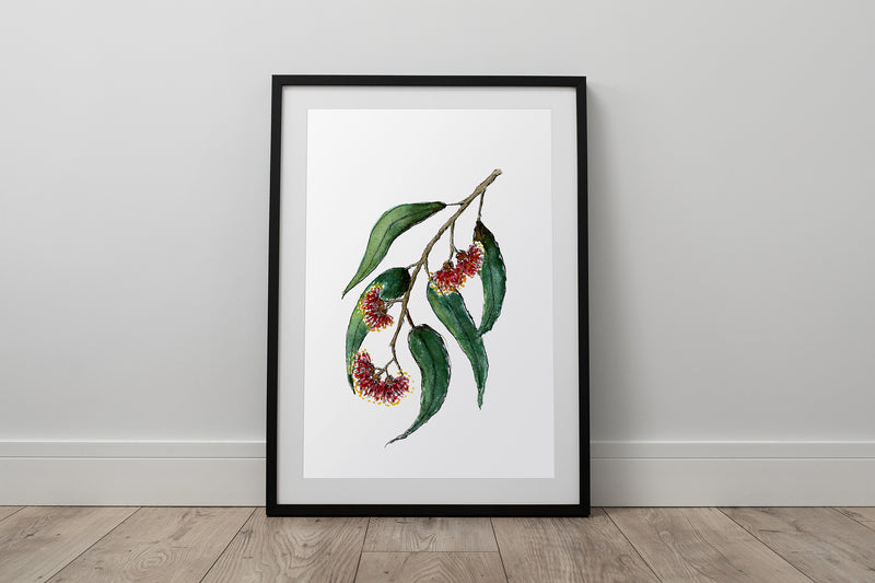 Red Flowering Gum Wall Art Print