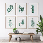 Botanical Wall Art Gum Leaf Prints Jade