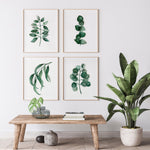 Green Watercolour Eucalyptus Print Set of 4