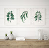 Set of 3 Green Watercolour Eucalyptus Prints