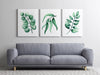 Eucalyptus Leaf Prints Sea Green Set of 3