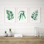 Eucalyptus Leaf Prints Sea Green Set of 3