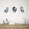 Gum Leaf Watercolour Print Set of 3 Grey