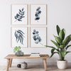 Botanical Gum Leaf Grey Watercolour Print Set of 4