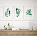 Set of 3 Blue Green Eucalyptus Leaf Watercolour Prints