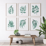 Blue Green Eucalyptus Leaf Watercolour Prints