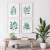 Blue Green Eucalyptus Leaf Watercolour Print Set of 4