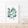 Gum Leaf Set 19 (3) Wall Art Print