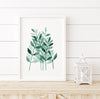 Gum Leaf Set 19 (4) Wall Art Print