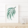 Gum Leaf Set 19 (5) Wall Art Print