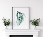 Gum Leaf Set 19 (6) Wall Art Print