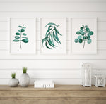 Teal Gum Leaf Wall Art Print Set of 3