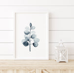 Gum Leaf Set 9 (2) Wall Art Print