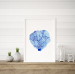 Coral Blue Set 2 (1) Wall Art Print