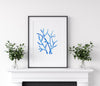 Coral Blue Set 2 (3) Wall Art Print
