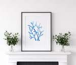 Coral Blue Set 2 (3) Wall Art Print