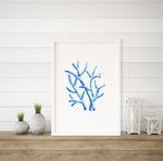 Coral Blue Set 2 (3) Wall Art Print