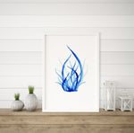 Coral Blue Set 2 (4) Wall Art Print