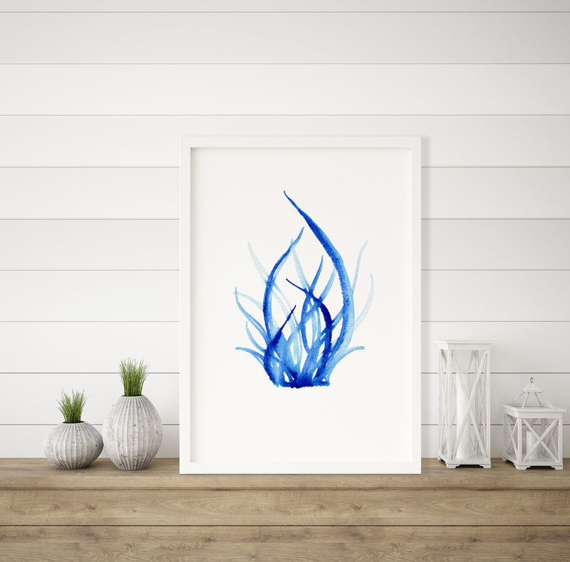 Coral Blue Set 2 (4) Wall Art Print