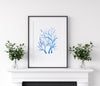 Coral Blue Set 2 (5) Wall Art Print