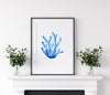 Coral Blue Set 2 (6) Wall Art Print
