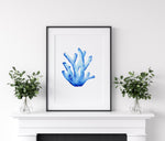 Coral Blue Set 2 (6) Wall Art Print