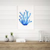 Coral Blue Set 2 (6) Wall Art Print