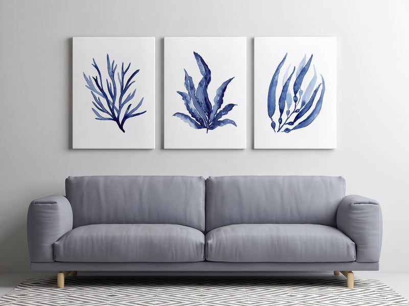 Set of 3 Blue Coral Hamptons Wall Art Prints