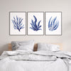 Set of 3 Blue Coral Hamptons Wall Art Prints