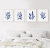 Set of 4 Blue Marine Coral Coastal Wall Art Prints