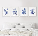 Set of 4 Blue Marine Coral Coastal Wall Art Prints