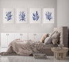 Set of 4 Blue Marine Coral Coastal Wall Art Prints