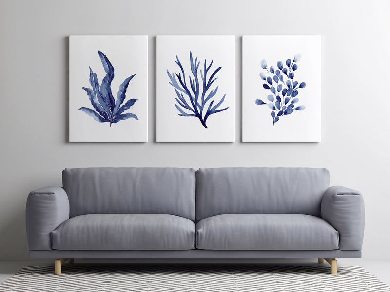 Laminaria + Codium Algae + Bladderwrack Set of 3 Blue Coral Hamptons Style Prints