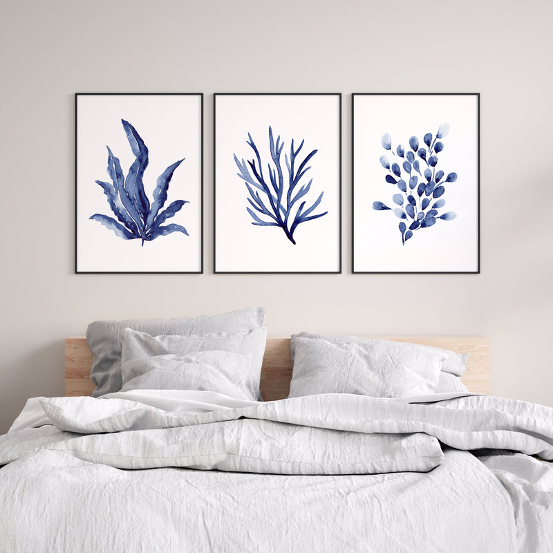 Laminaria + Codium Algae + Bladderwrack Set of 3 Blue Coral Hamptons Style Prints