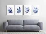 Blue Sea Corals Watercolour Art Prints Set of 4