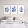 Set of 3 Blue Coral Coastal Watercolour Art Prints