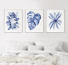 Set of 3 Blue Wall Canvasses and Prints Heart Leaf + Monstera + Birds Nest