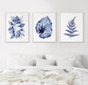 Blue Foliage Watercolour Art Canvas and Prints Set of 3