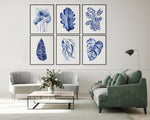 Homalomena + Oak + Prayer Plant + Sword Leaf Fern + Blue Gum + Monstera Hamptons Wall Decor  Canvasses and Prints