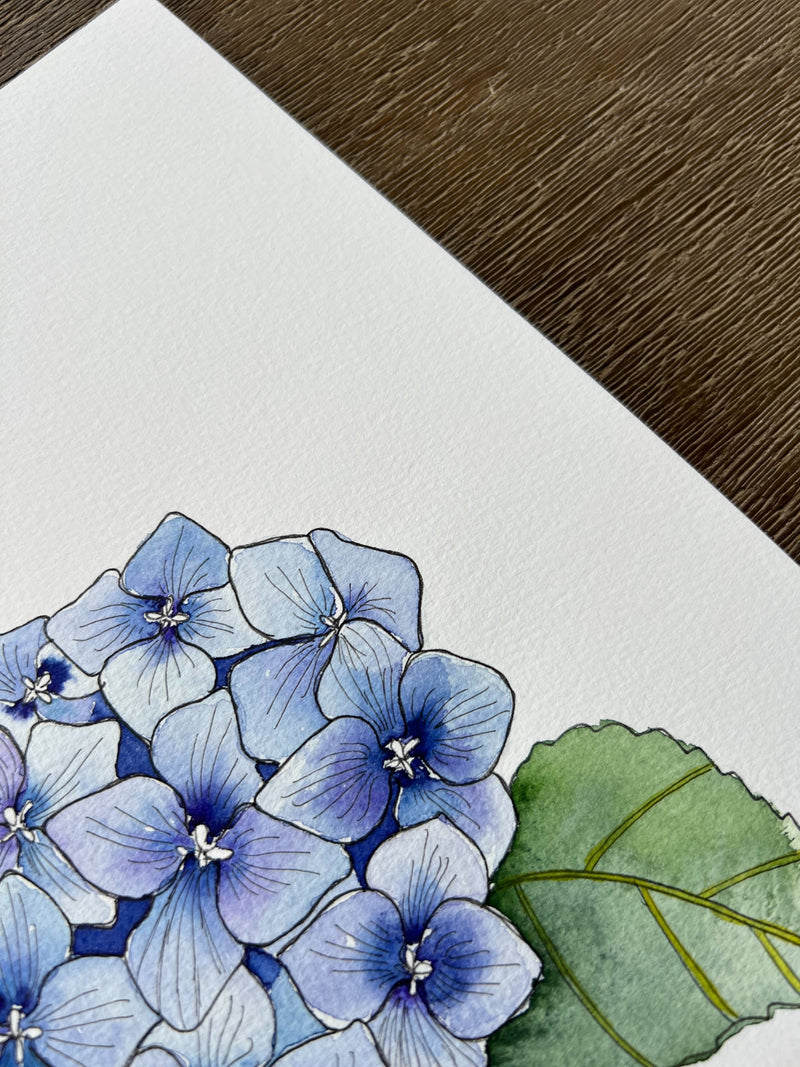 Blue Hydrangea Set of 3 Original Watercolour Floral Paintings 9 x 12 in