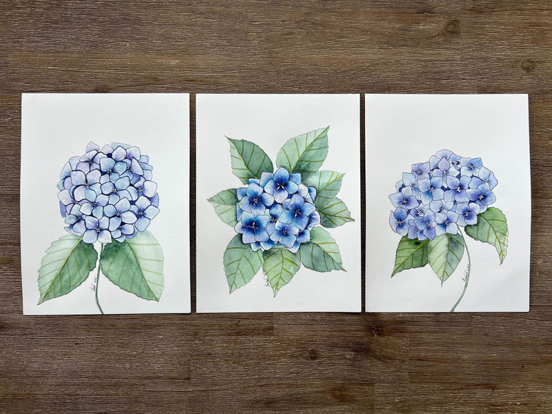 Blue Hydrangea Set of 3 Original Watercolour Floral Paintings 9 x 12 in